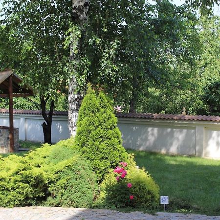 Hotel Radi Sapareva Banya Ngoại thất bức ảnh
