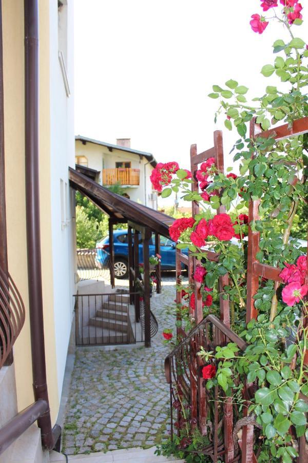 Hotel Radi Sapareva Banya Ngoại thất bức ảnh